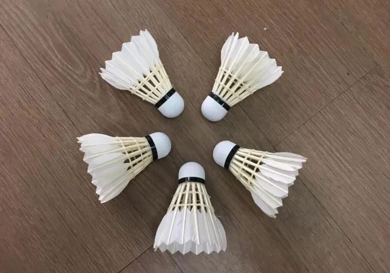 các loại cầu lông