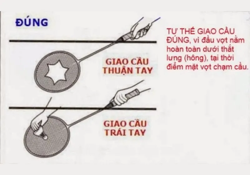 luật cầu lông